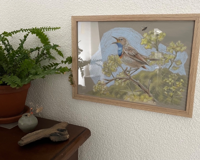 Gorgebleue à miroir