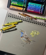 Gorgebleue à miroir